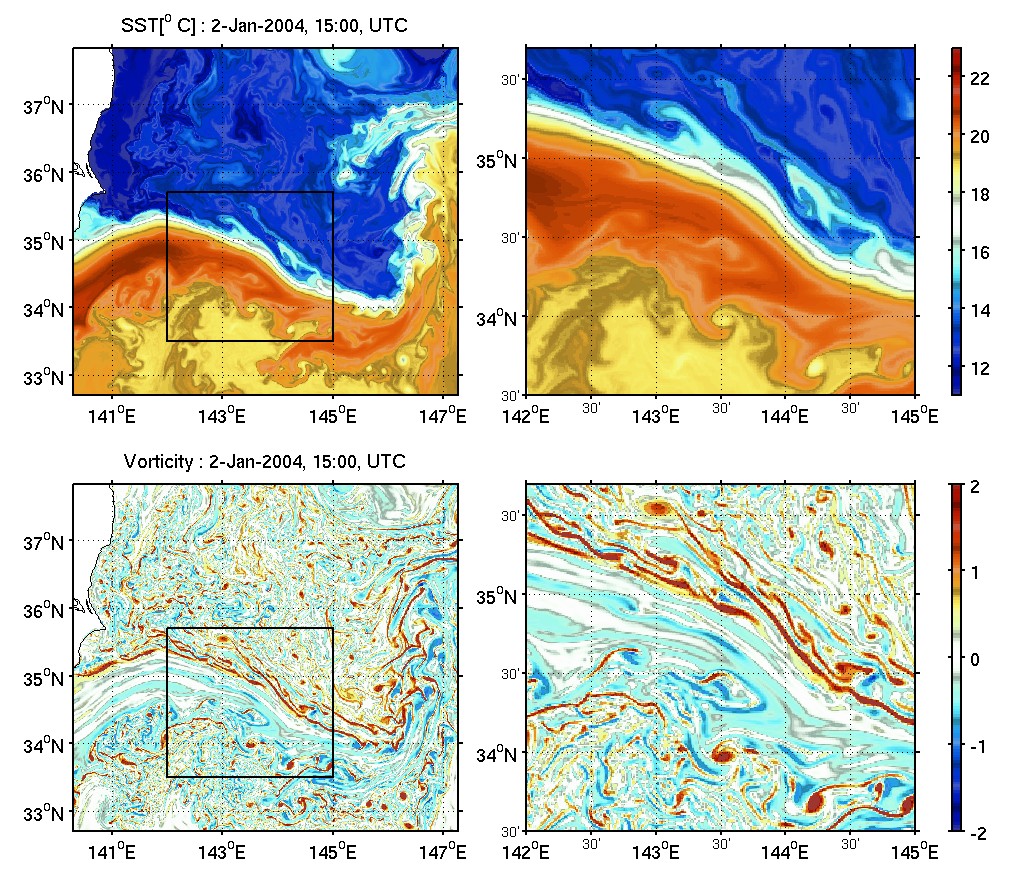 surface vorticity in the Kuroshio Extention